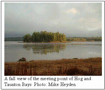 Text Box:  
A fall view of the meeting point of Hog and Taunton Bays  Photo: Mike Heyden
