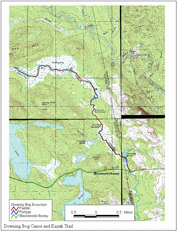 Text Box:  
Downing Bog Canoe and Kayak Trail
