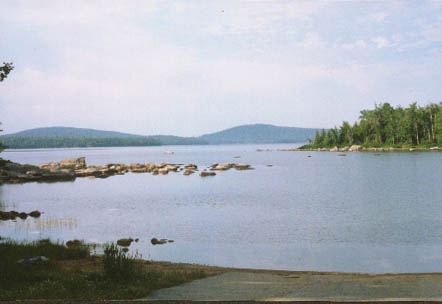 Tunk View